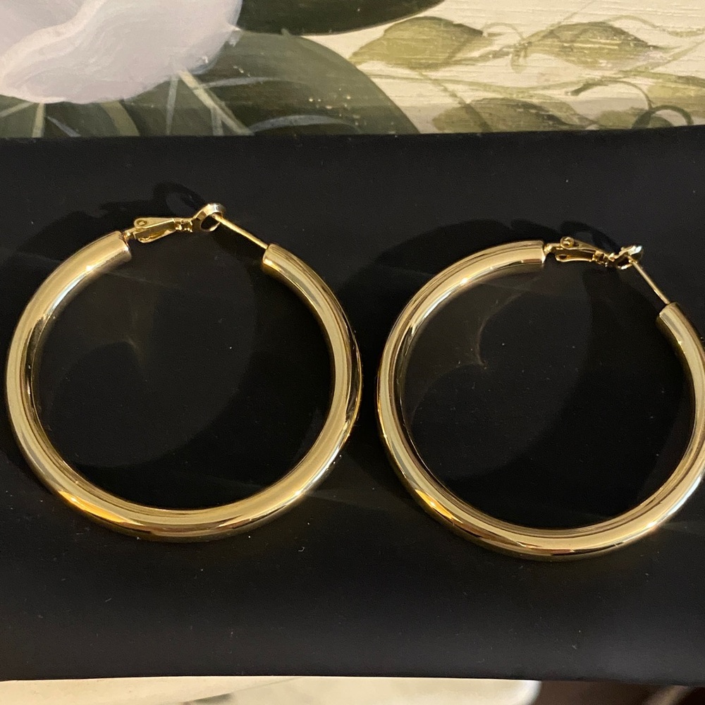 Elegant Gold Hoop Earrings